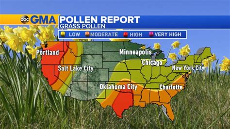 virginia pollen count|current pollen count in my area.